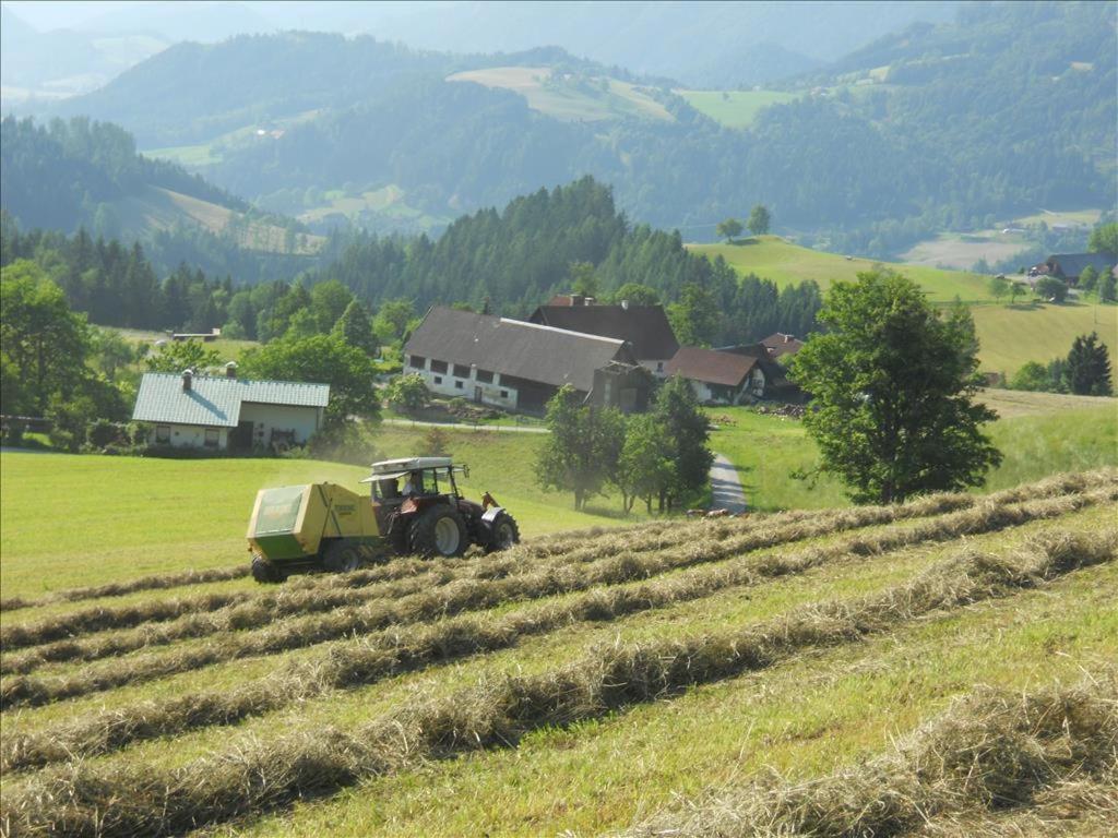 Familienbauernhof Imitz, Ferienwohnung Spital Am Pyhrn Esterno foto