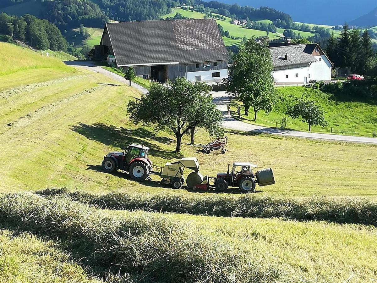 Familienbauernhof Imitz, Ferienwohnung Spital Am Pyhrn Esterno foto